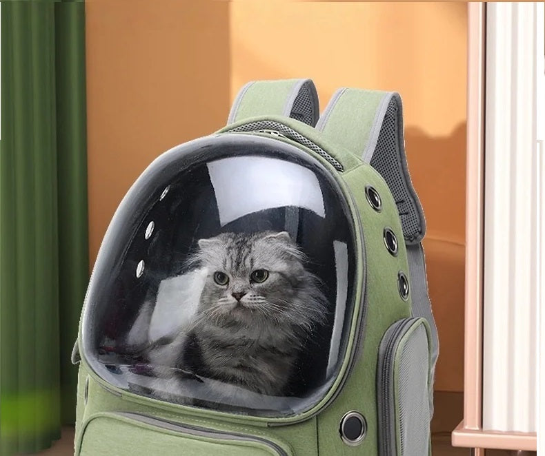 Mochila transparente para transportar mascotas, transpirable, para gatos y perros pequeños, ideal para viajes al aire libre