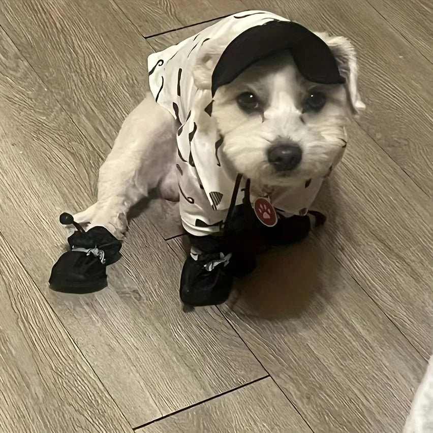 Botas impermeables para perros y gatos