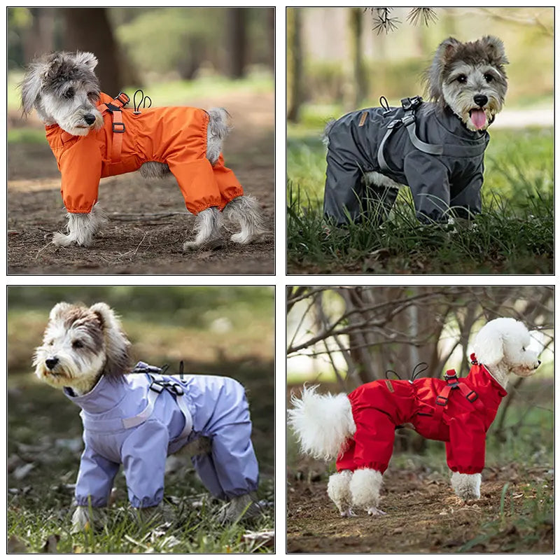 Chubasquero, chaqueta para perros con arnés