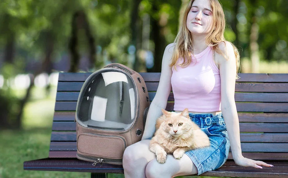 Mochila transparente para transportar mascotas, transpirable, para gatos y perros pequeños, ideal para viajes al aire libre