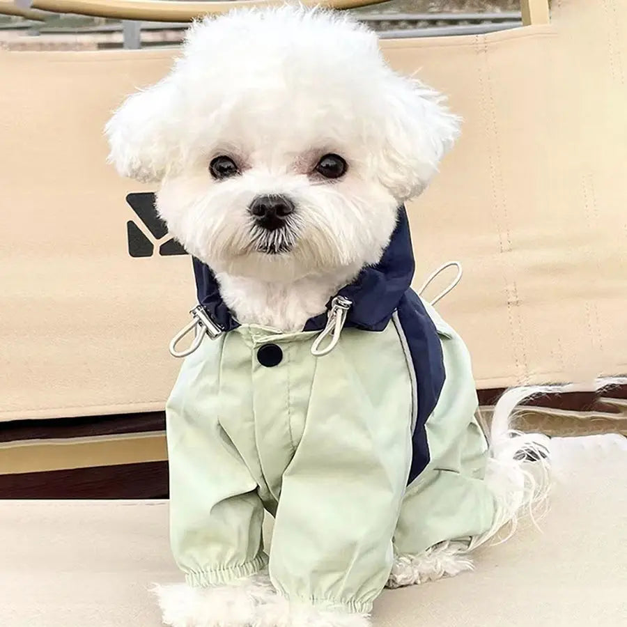 Chaqueta impermeable para mascotas