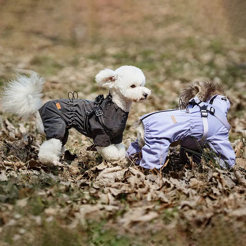 Chubasquero, chaqueta para perros con arnés