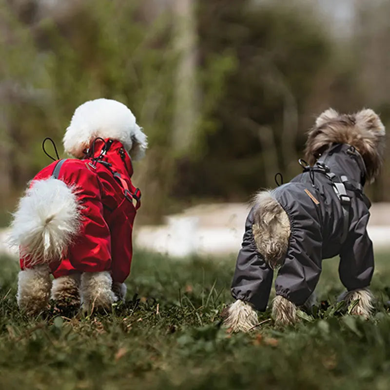 Chubasquero, chaqueta para perros con arnés