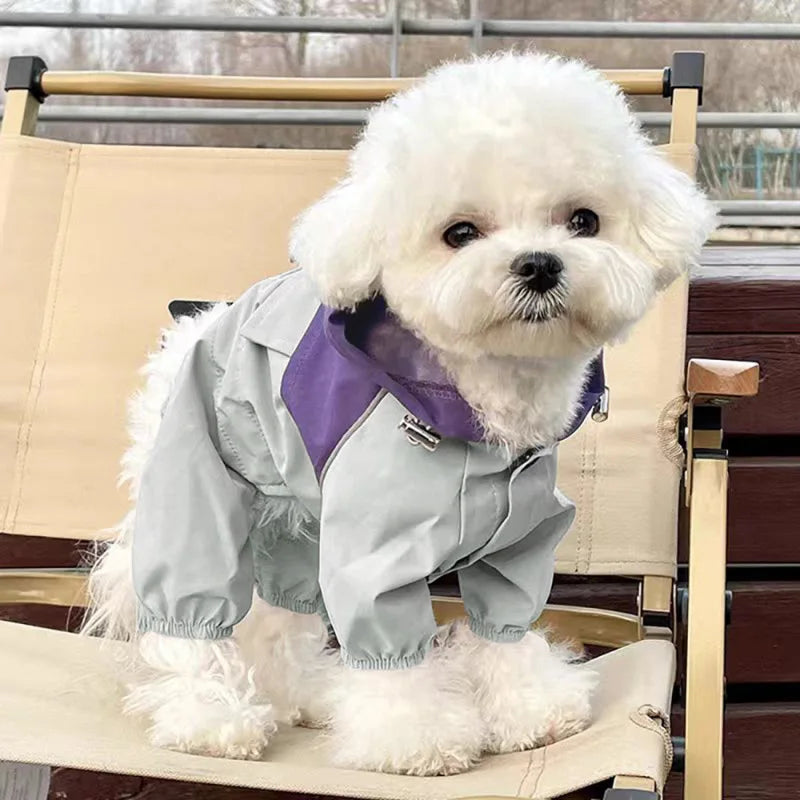 Chaqueta impermeable para mascotas