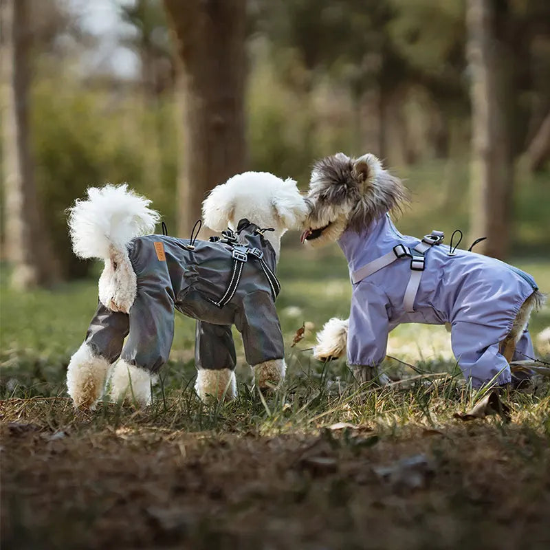 Chubasquero, chaqueta para perros con arnés