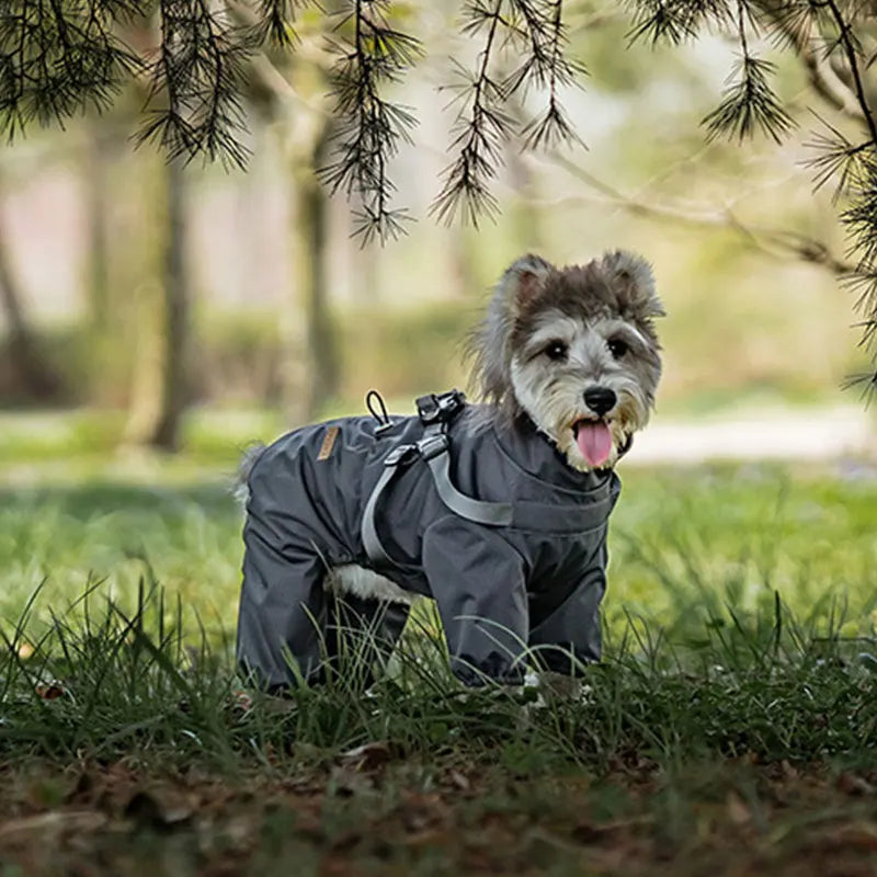 Chubasquero, chaqueta para perros con arnés