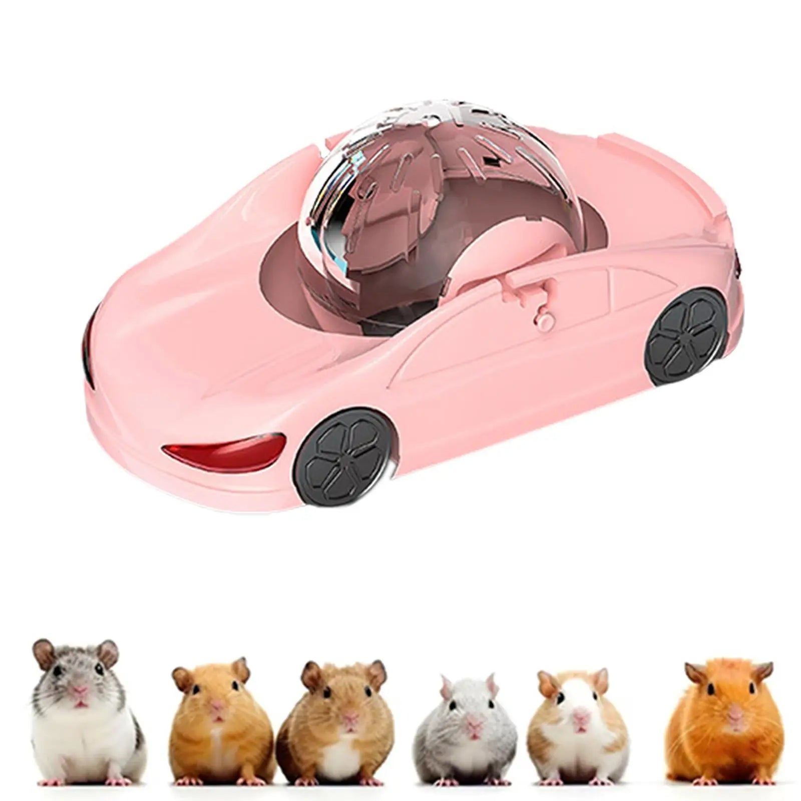 Rueda de ejercicio para hámster, juguete  divertido