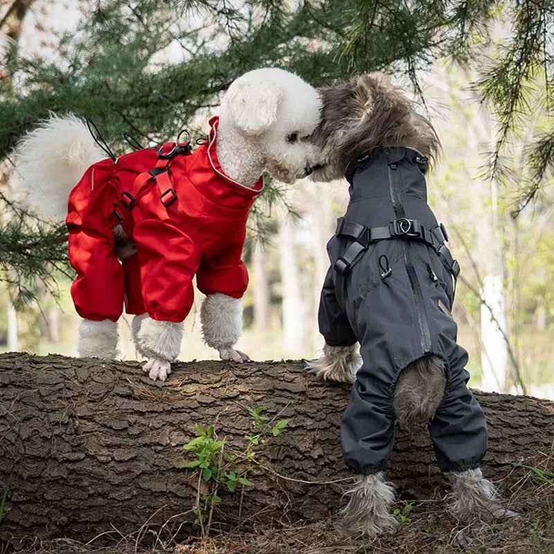 Chubasquero, chaqueta para perros con arnés
