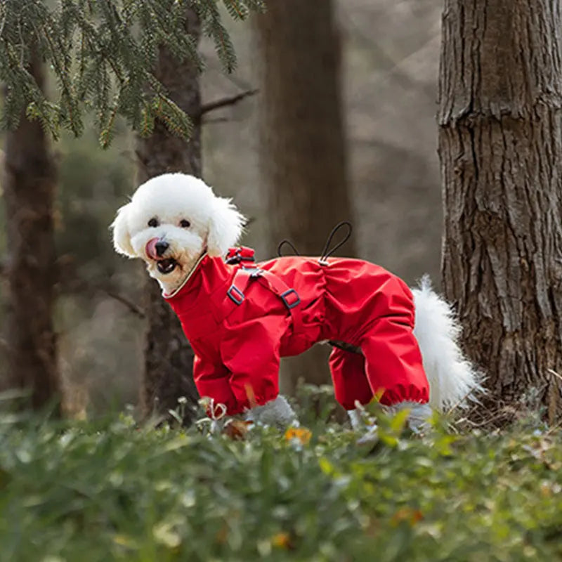 Chubasquero, chaqueta para perros con arnés