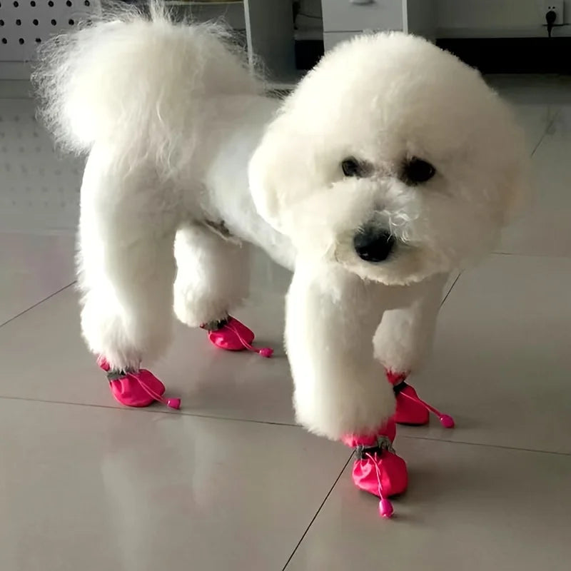 Botas impermeables para perros y gatos