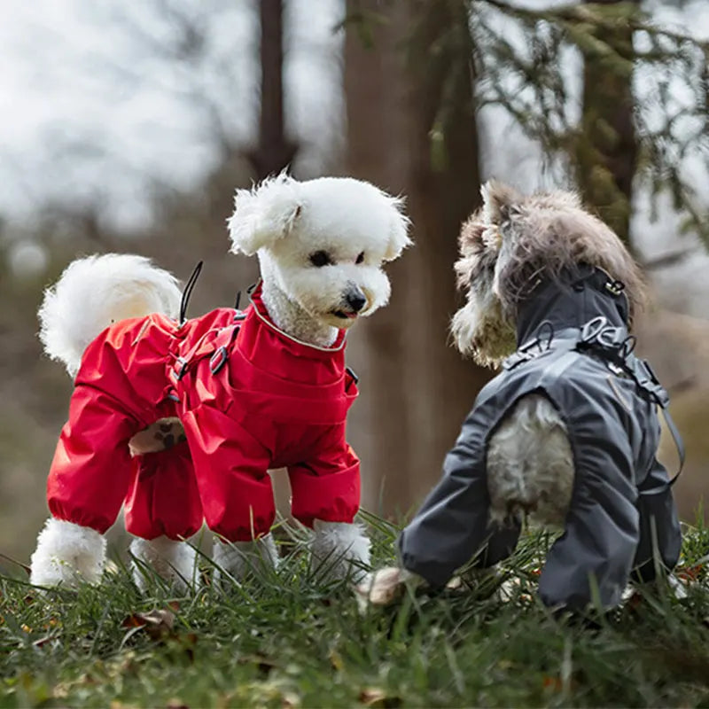 Chubasquero, chaqueta para perros con arnés