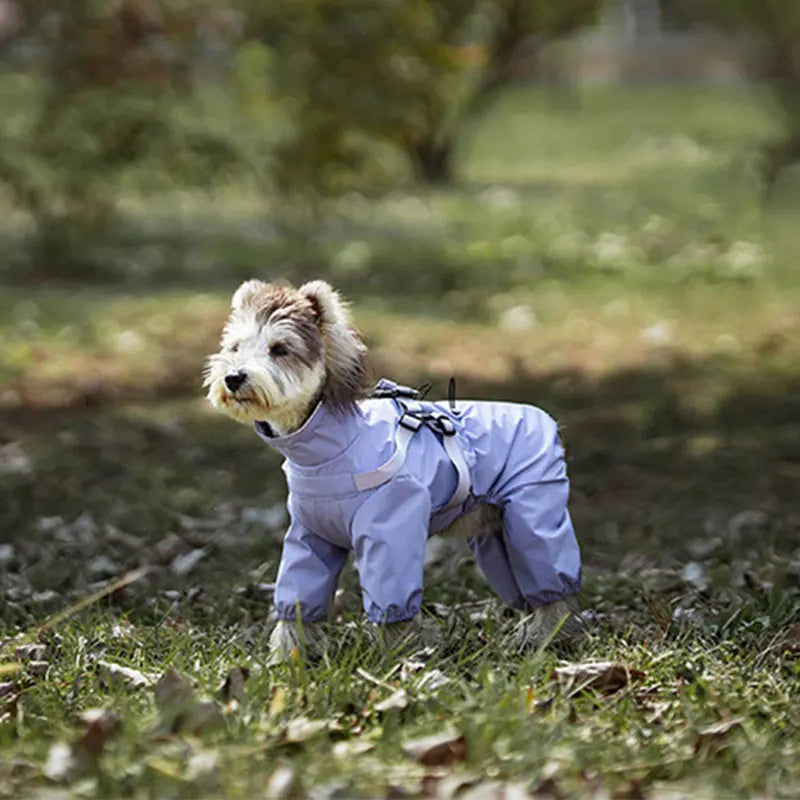 Chubasquero, chaqueta para perros con arnés