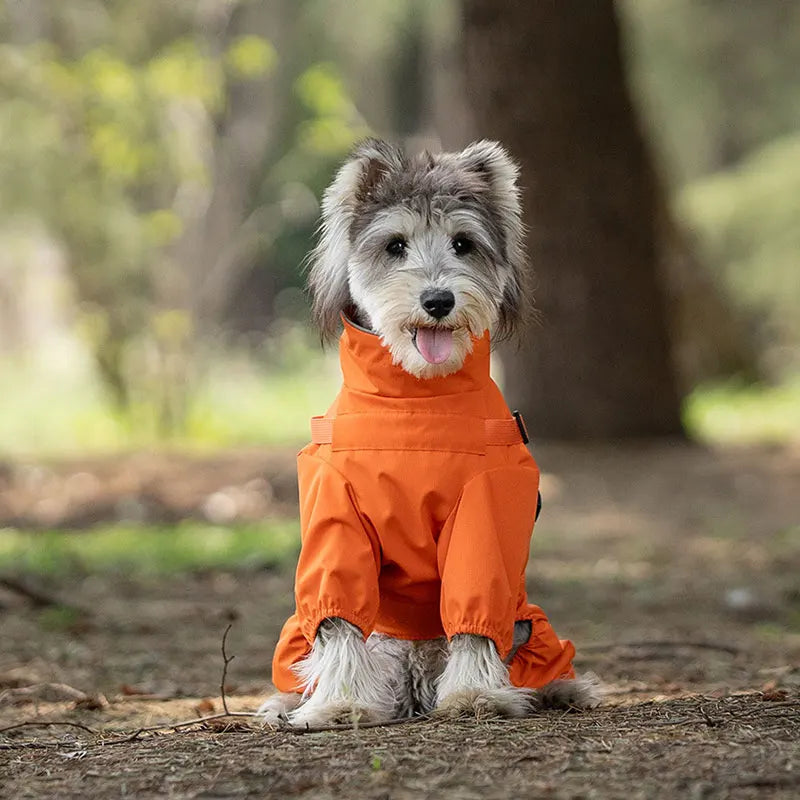 Chubasquero, chaqueta para perros con arnés